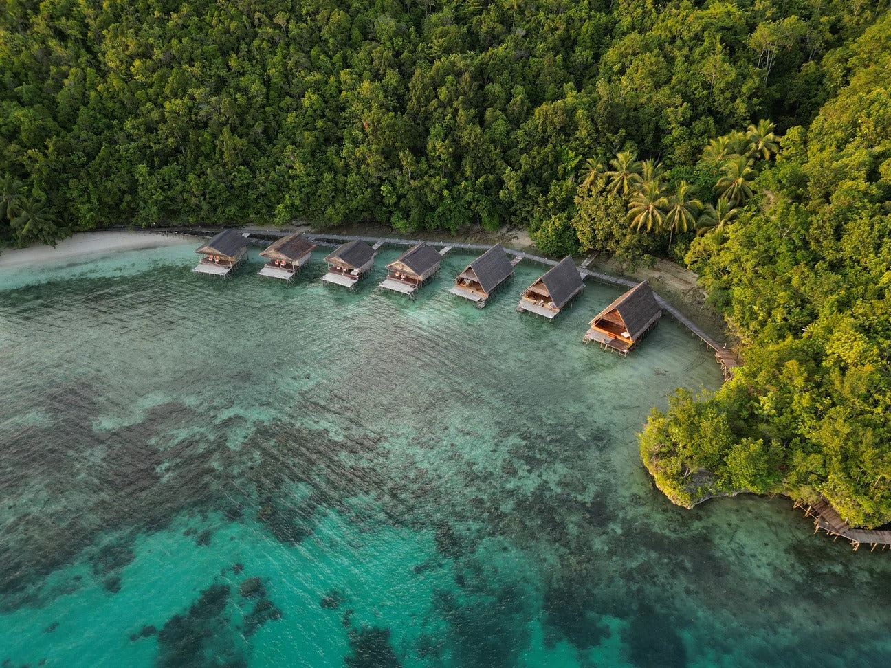 Raja Ampat Freediving & Coral Retreat