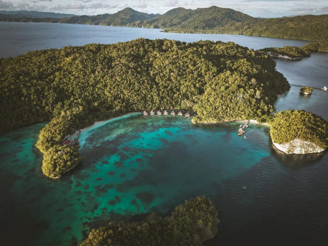 Raja Ampat Freediving & Coral Retreat