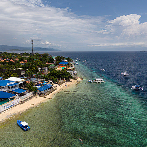 Moalboal Sardine Run Shore Dive