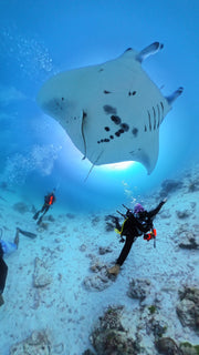 PADI Open Water Diver Course