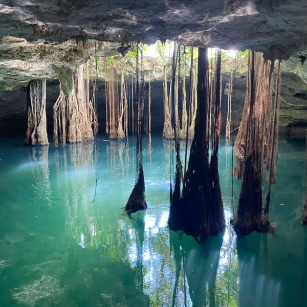 El Cuyo Freediving Discovery Dive
