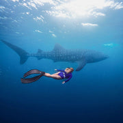 Maldives Freediving Liveaboard