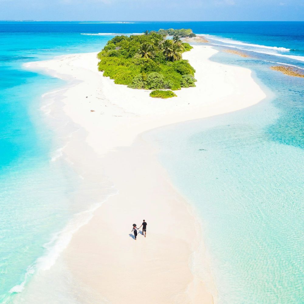 Maldives Freediving Liveaboard