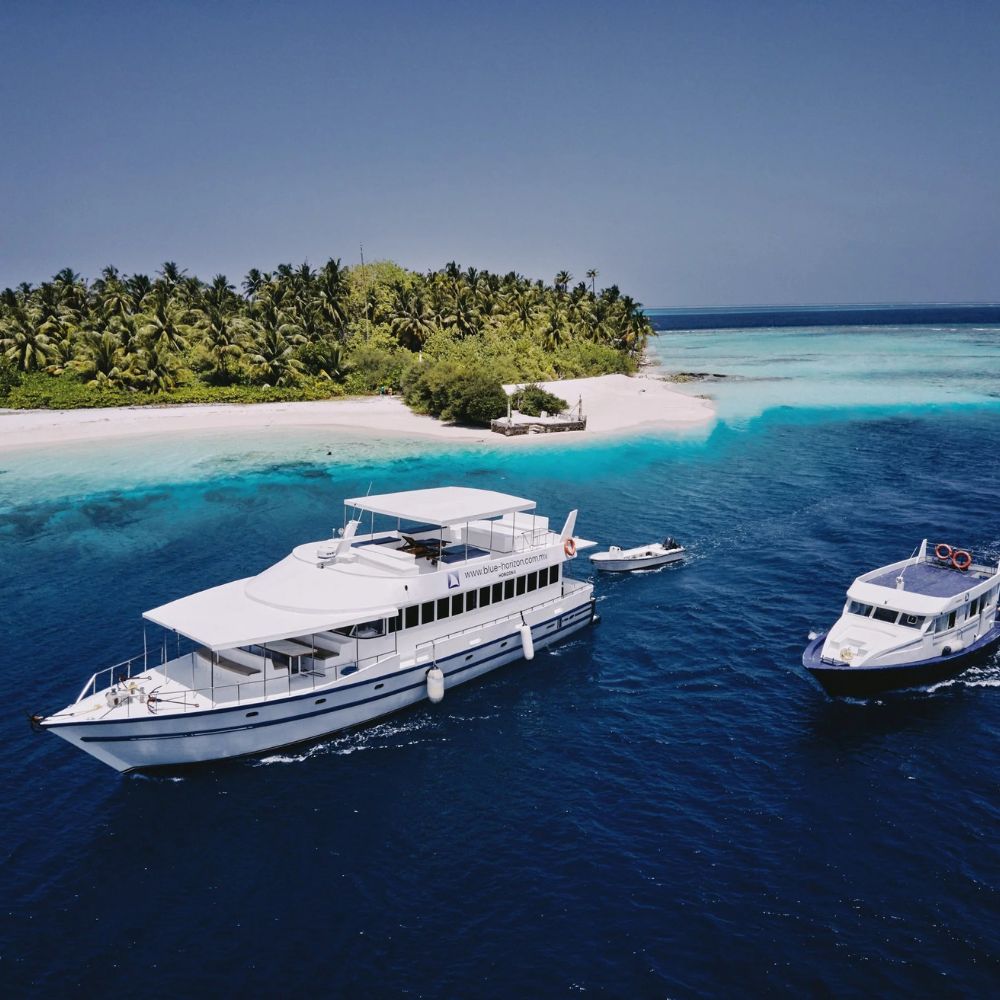Maldives Freediving Liveaboard