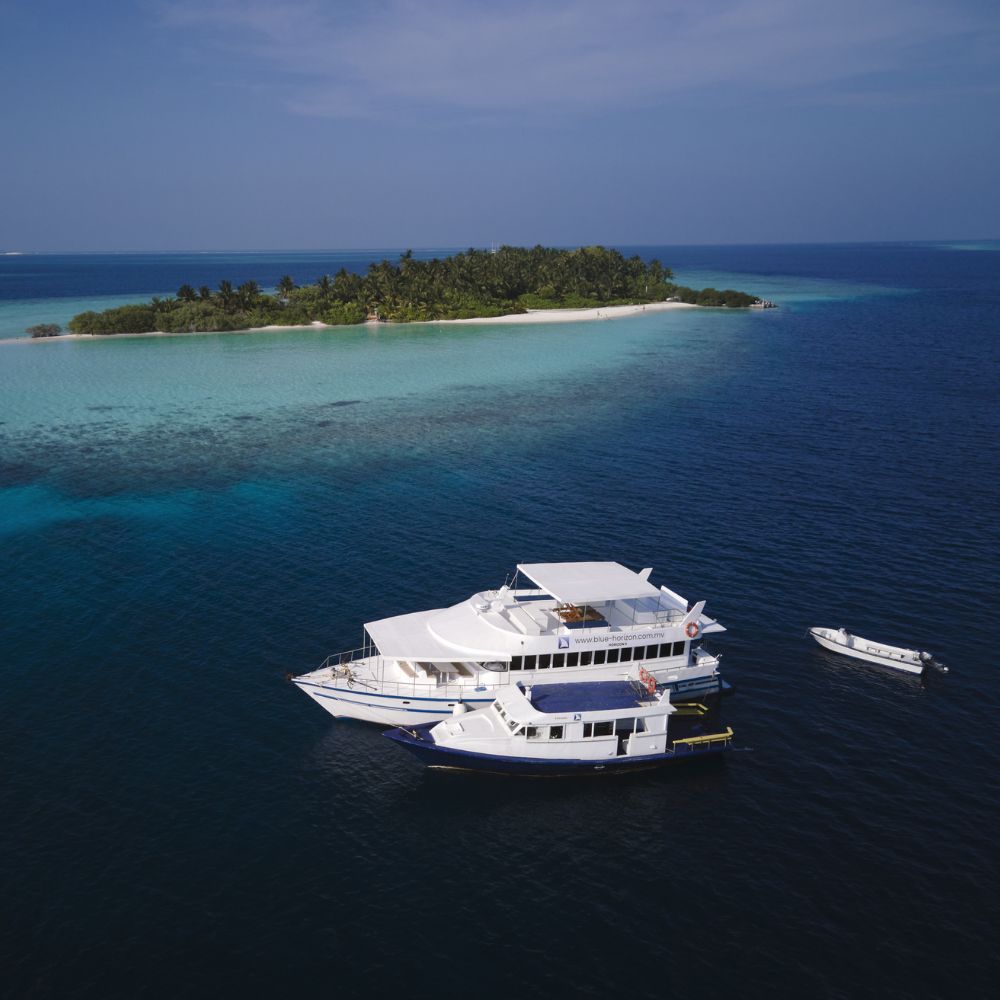 Maldives Freediving Liveaboard