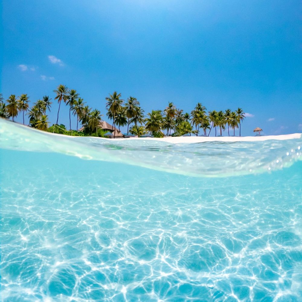 Maldives Freediving Liveaboard