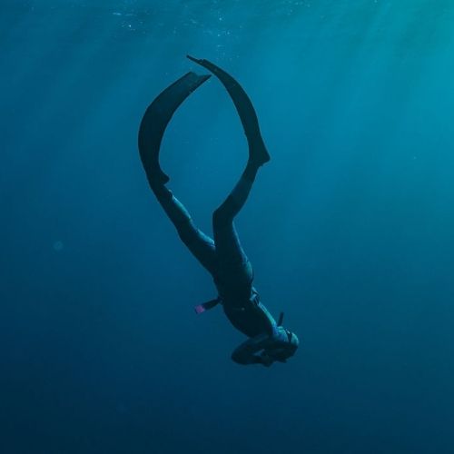 Bicheno Freediving Beginner Course