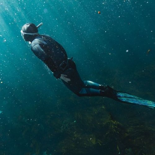 Freediving Beginner Course