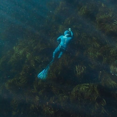 Freediving Beginner Course