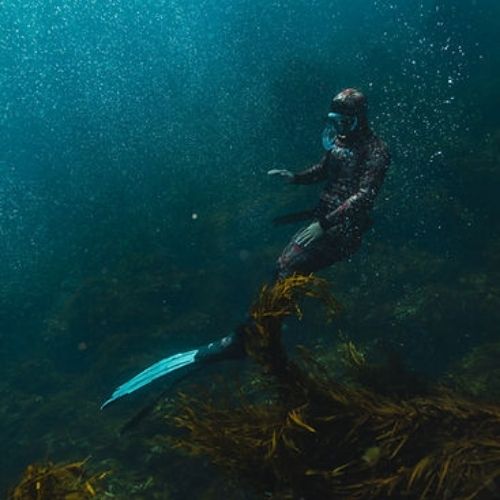 Bicheno Freediving Beginner Course