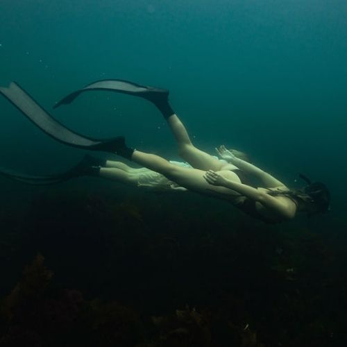Bicheno Freediving Beginner Course