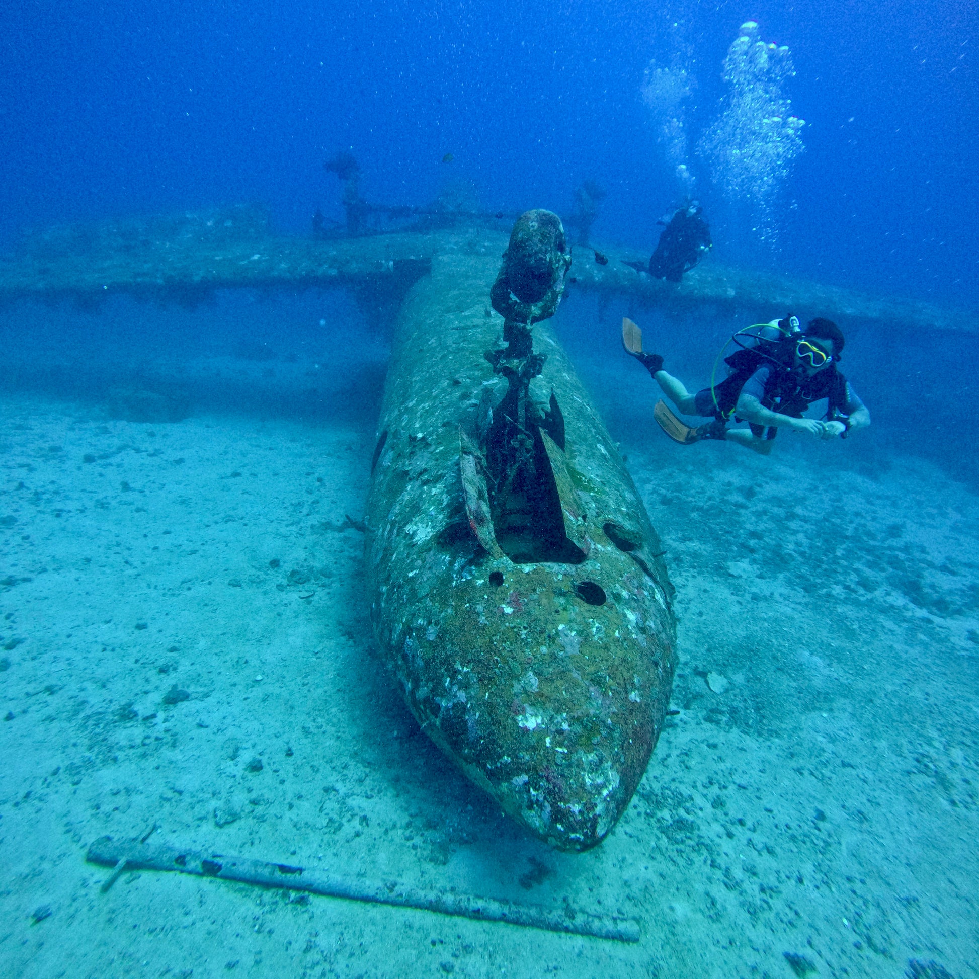 Divers above the TriBird Airplane wreck