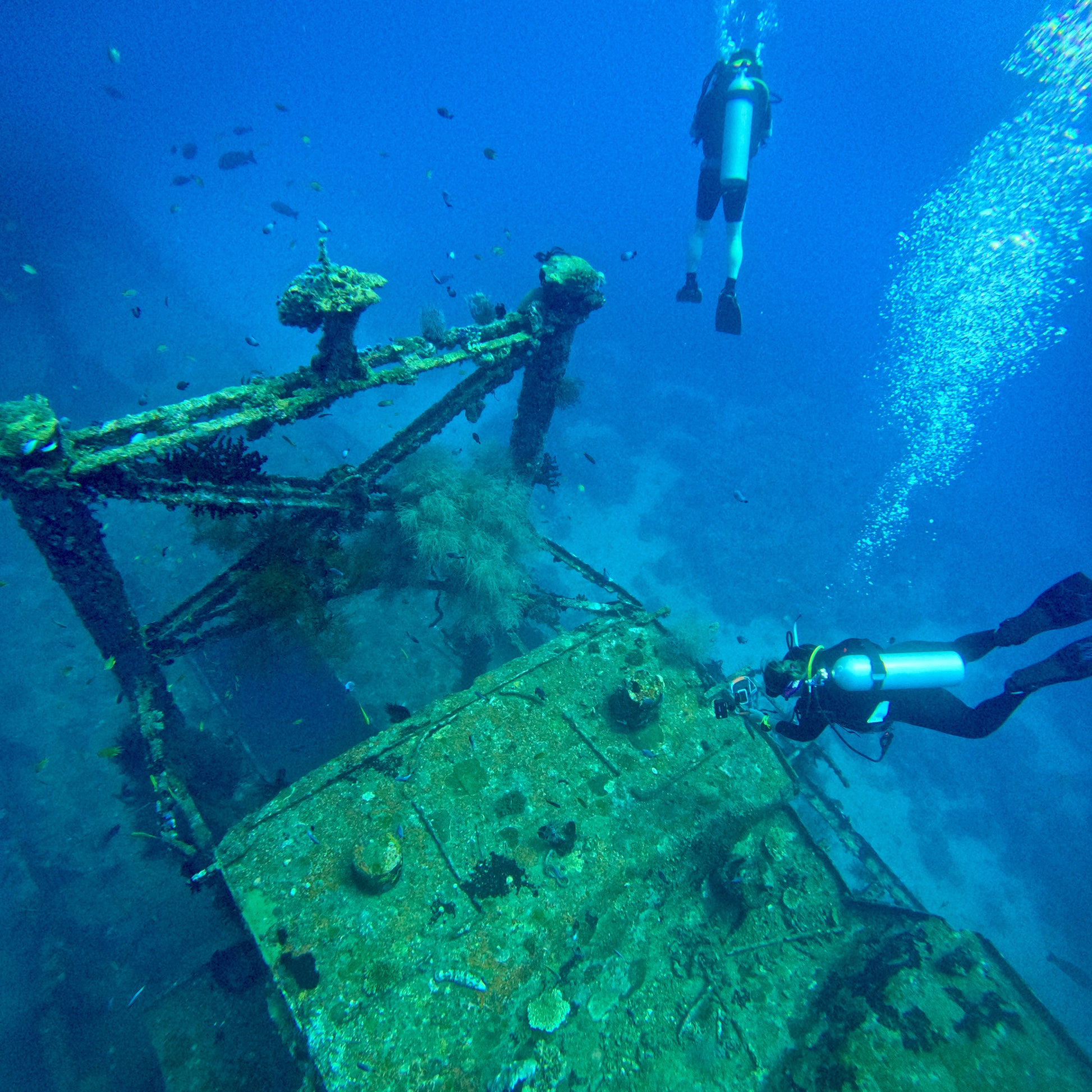 Divers over the Camia Shipwreck