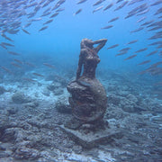 Moalboal Sardine Run Shore Dive