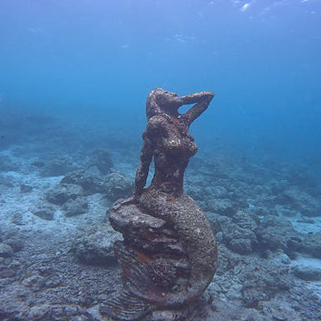 Moalboal Sardine Run Shore Dive