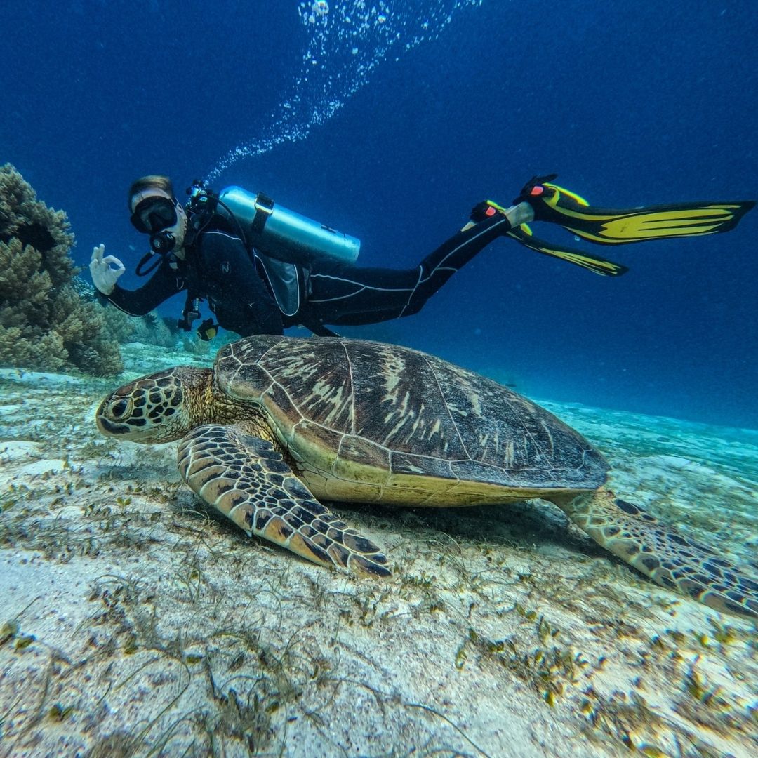 Scuba Diving Refresher Course