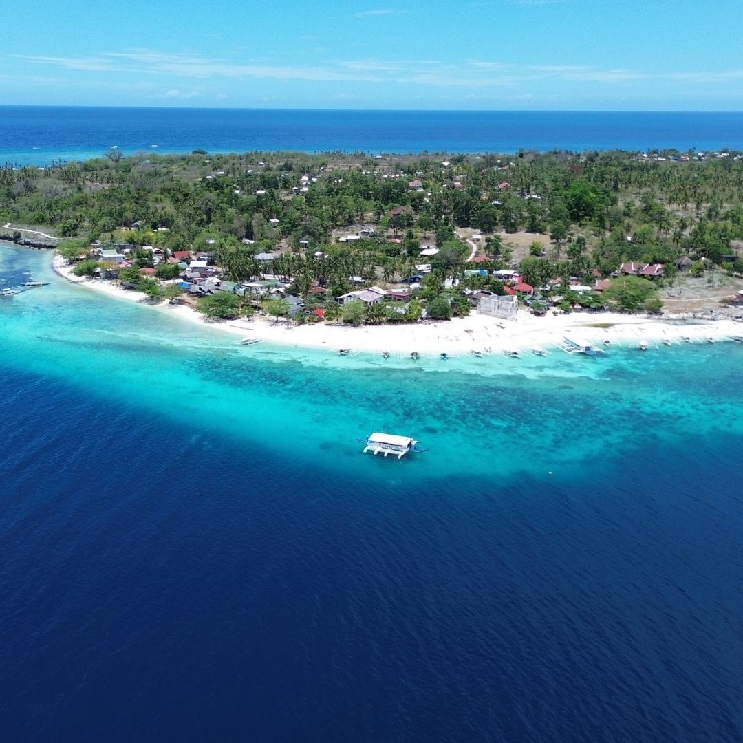 Panglao Scuba Dive Trip Haka Dive Center