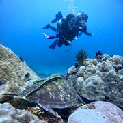Diver with Dive Master hovering over a sea turtle