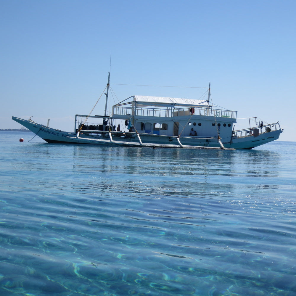 Apo Reef Group Scuba Diving Day Trip