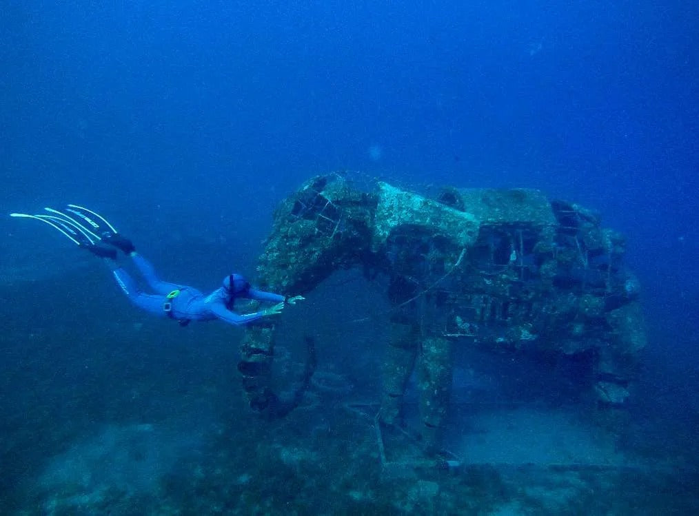 Dahab Freediving Retreat