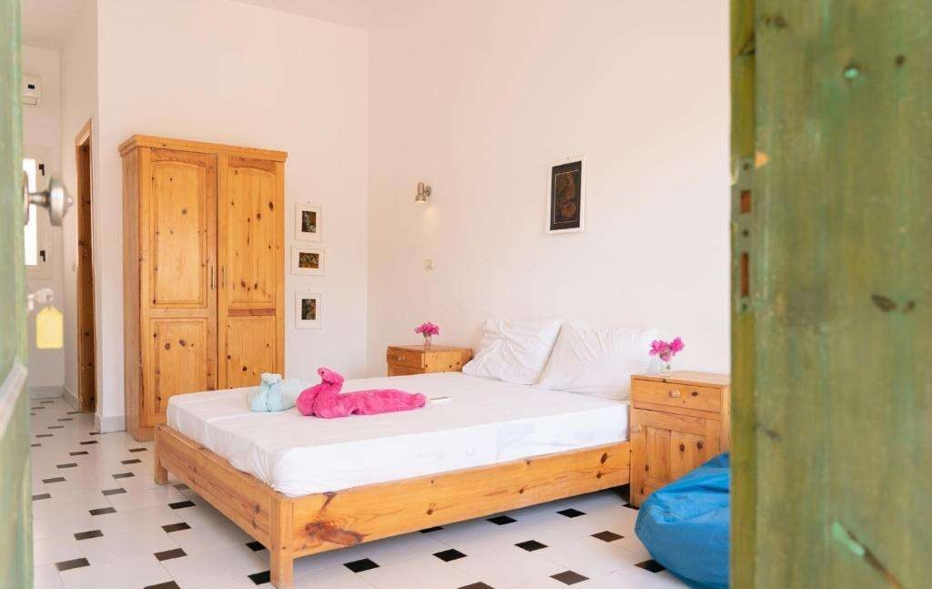 Dahab Freediving Retreat