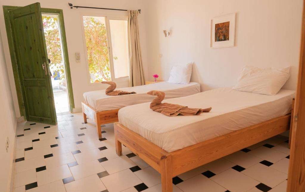 Dahab Freediving Retreat