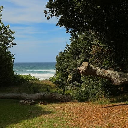 South Africa Shark Coast Expedition
