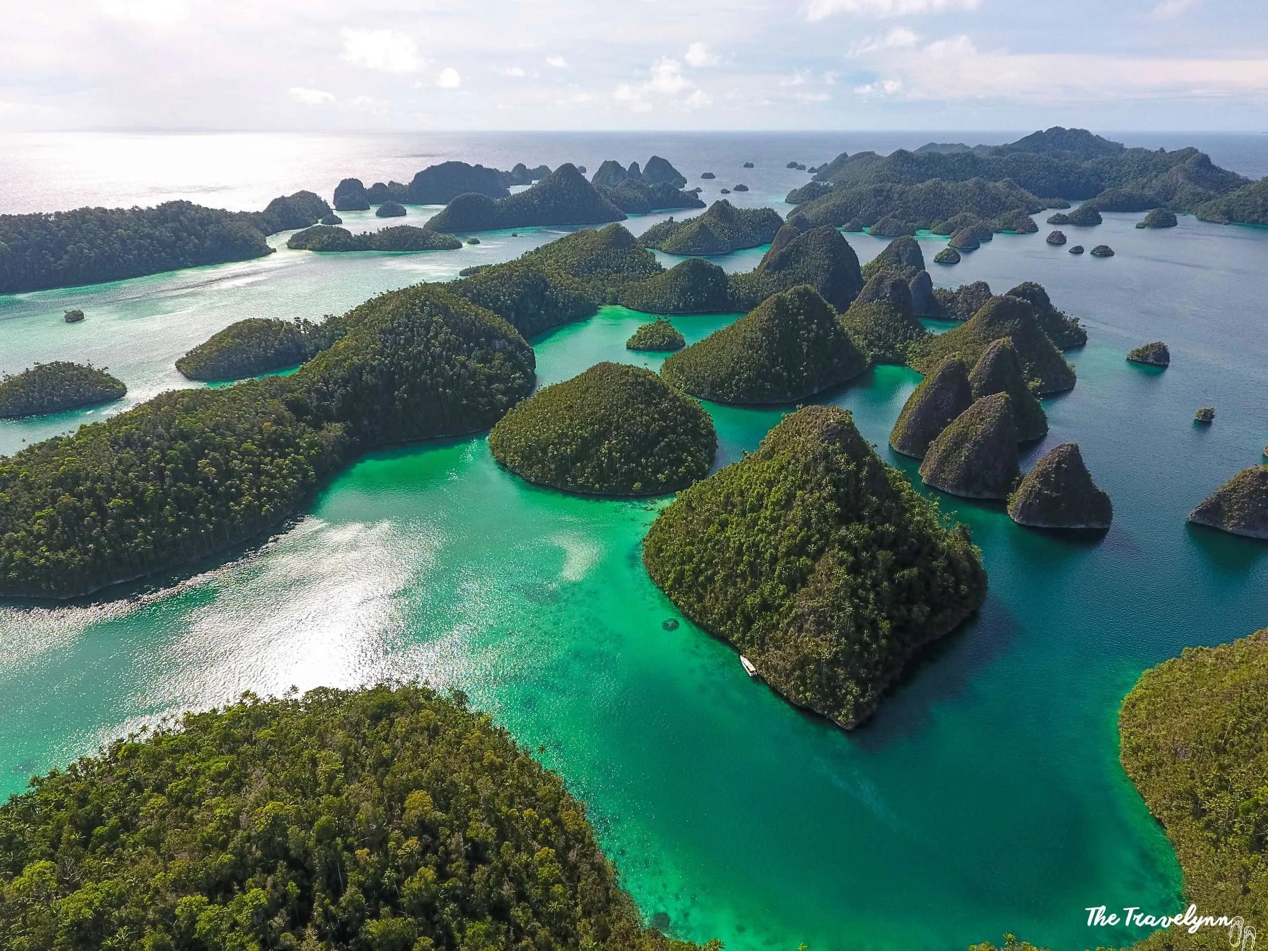 Raja Ampat Scuba Diving Liveaboard Adventure