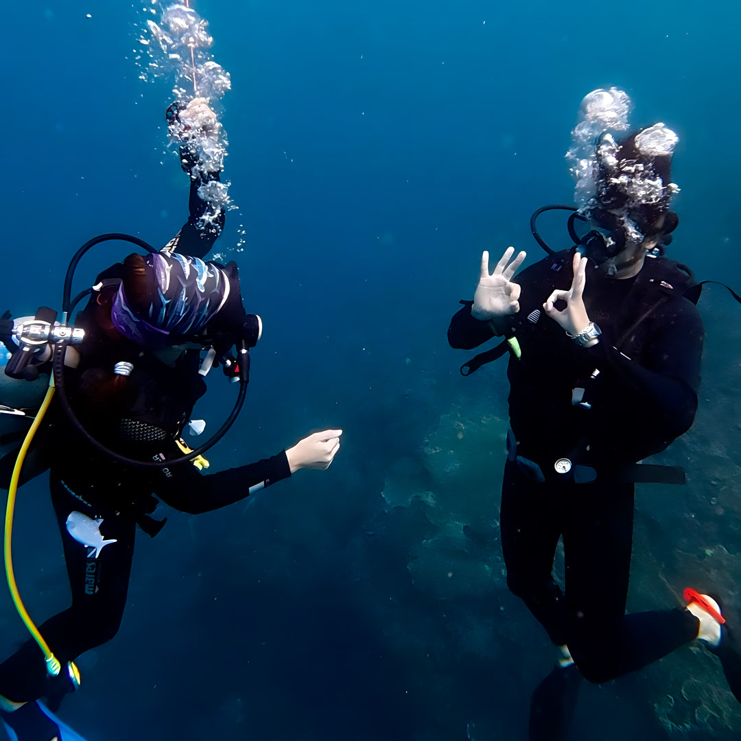 Nusa Penida Fun Dive for Advanced Divers