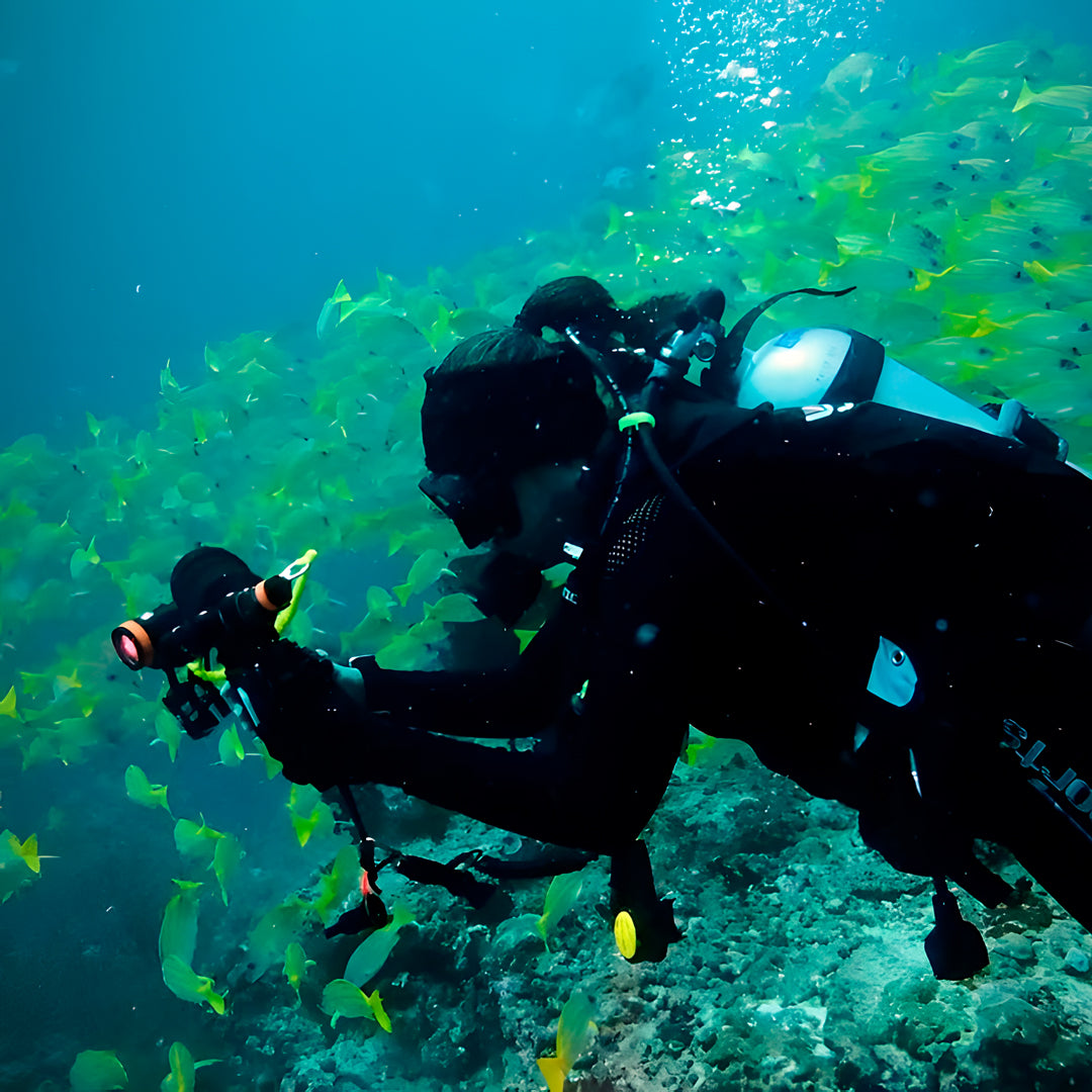 Maldives PADI Divemaster Course
