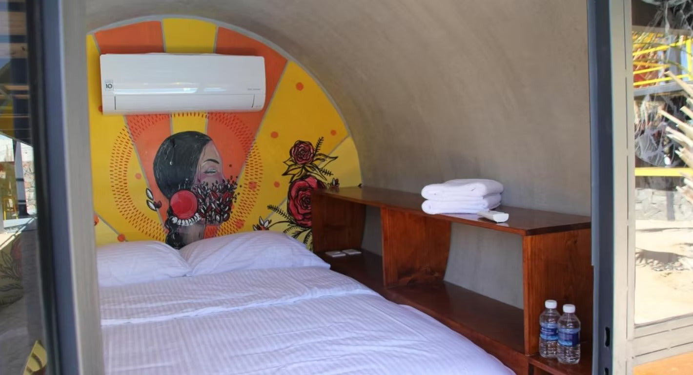 Freedive Mexico Mobula Rays Migration