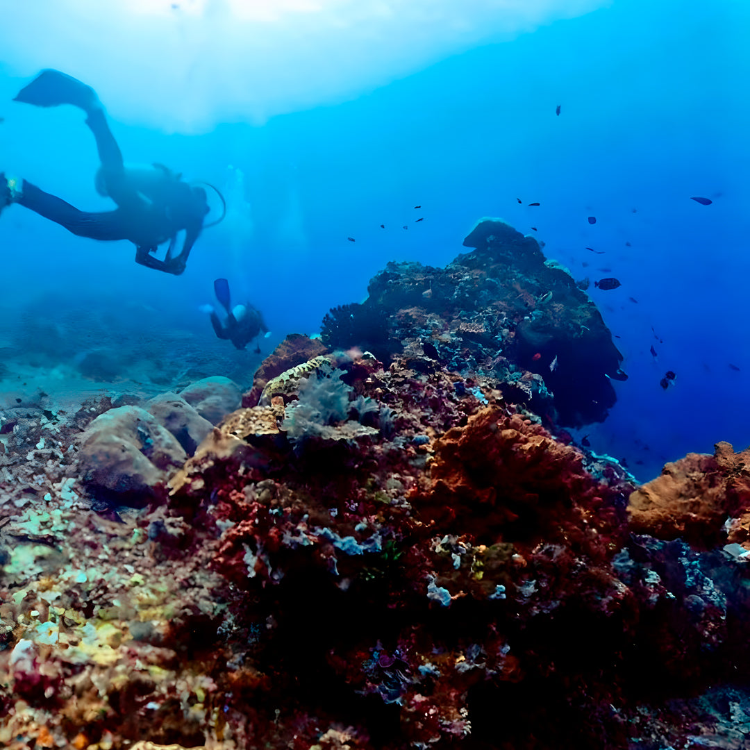 Nusa Penida Fun Dive for Advanced Divers