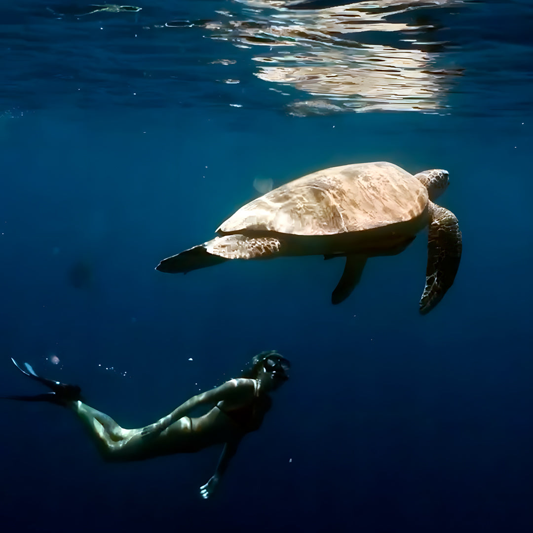 Nusa Penida Fun Dive for Advanced Divers