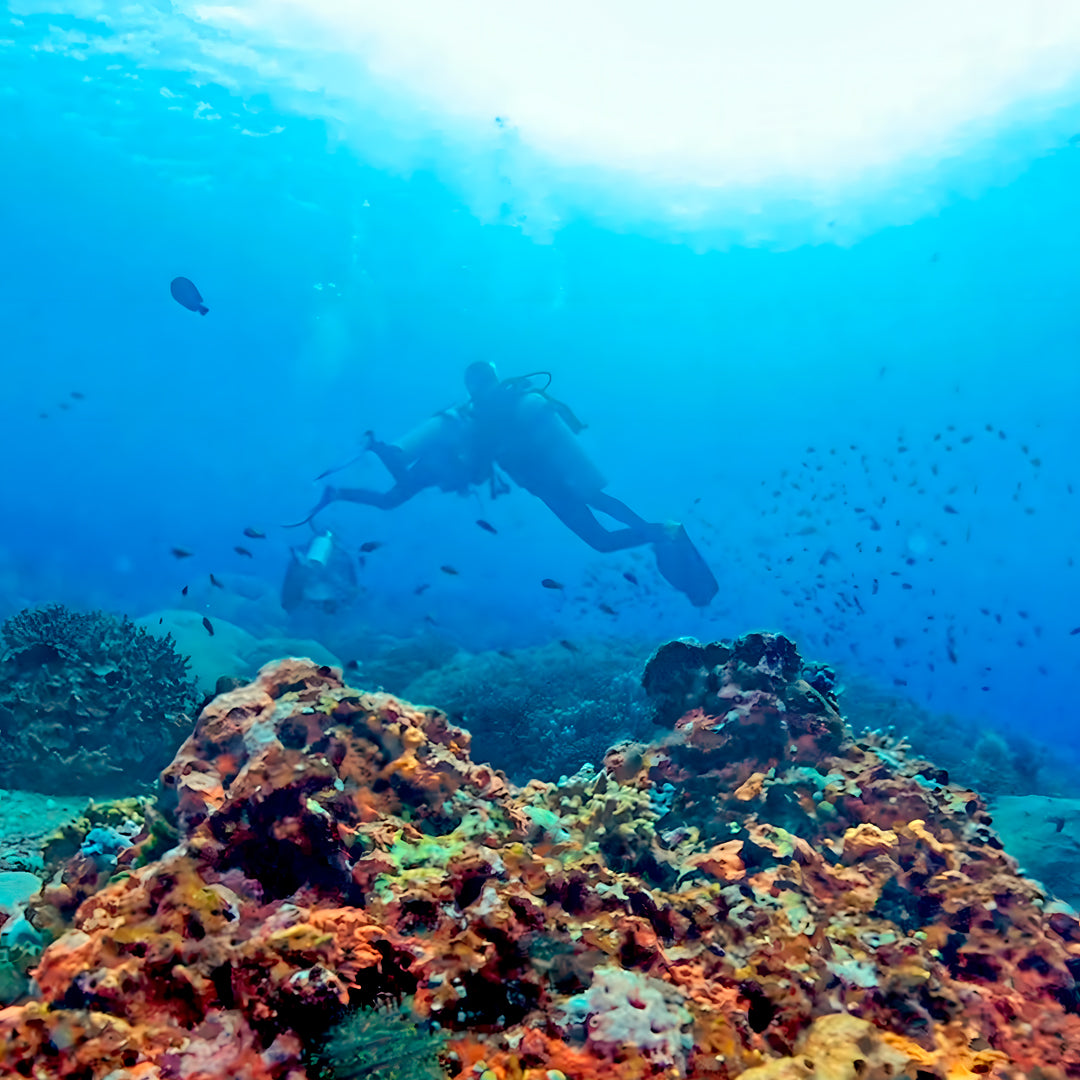 Nusa Penida Fun Dive for Advanced Divers