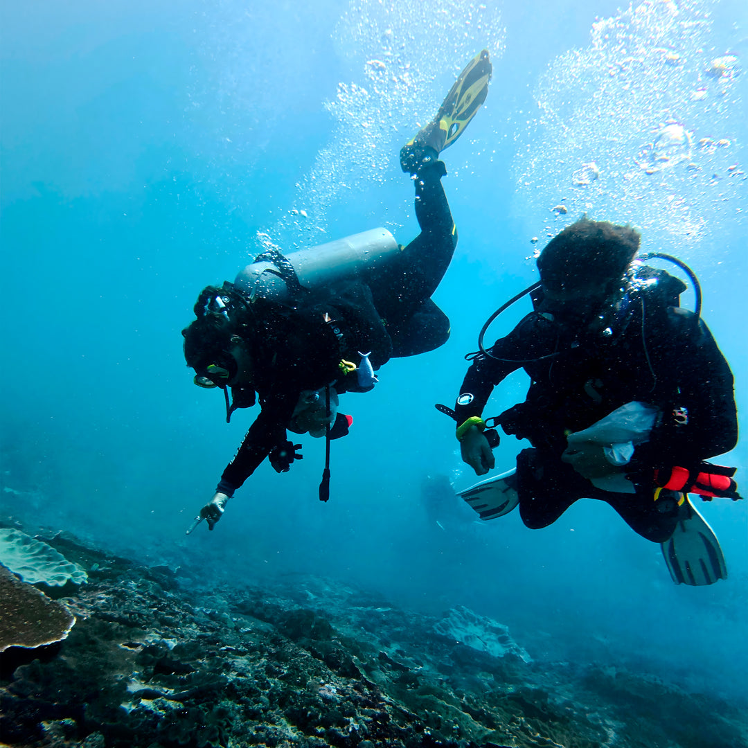 Nusa Penida Fun Dive for Advanced Divers