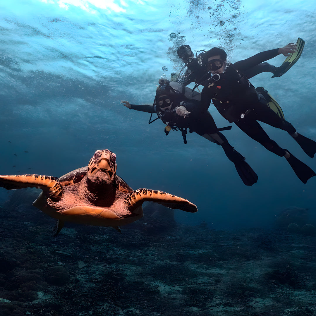 Nusa Penida Fun Dive for Advanced Divers