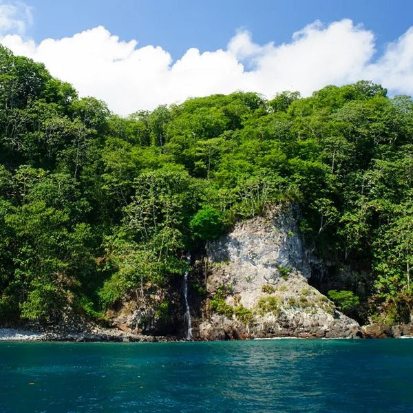 Cocos Island Advanced Scuba Diving Liveaboard