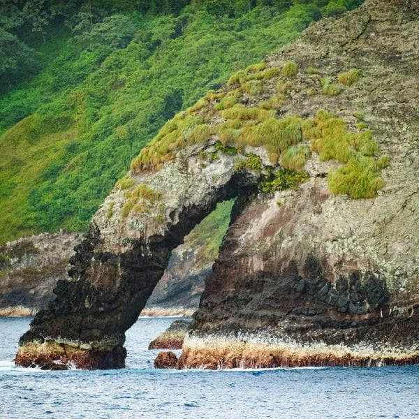 Cocos Island Advanced Scuba Diving Liveaboard