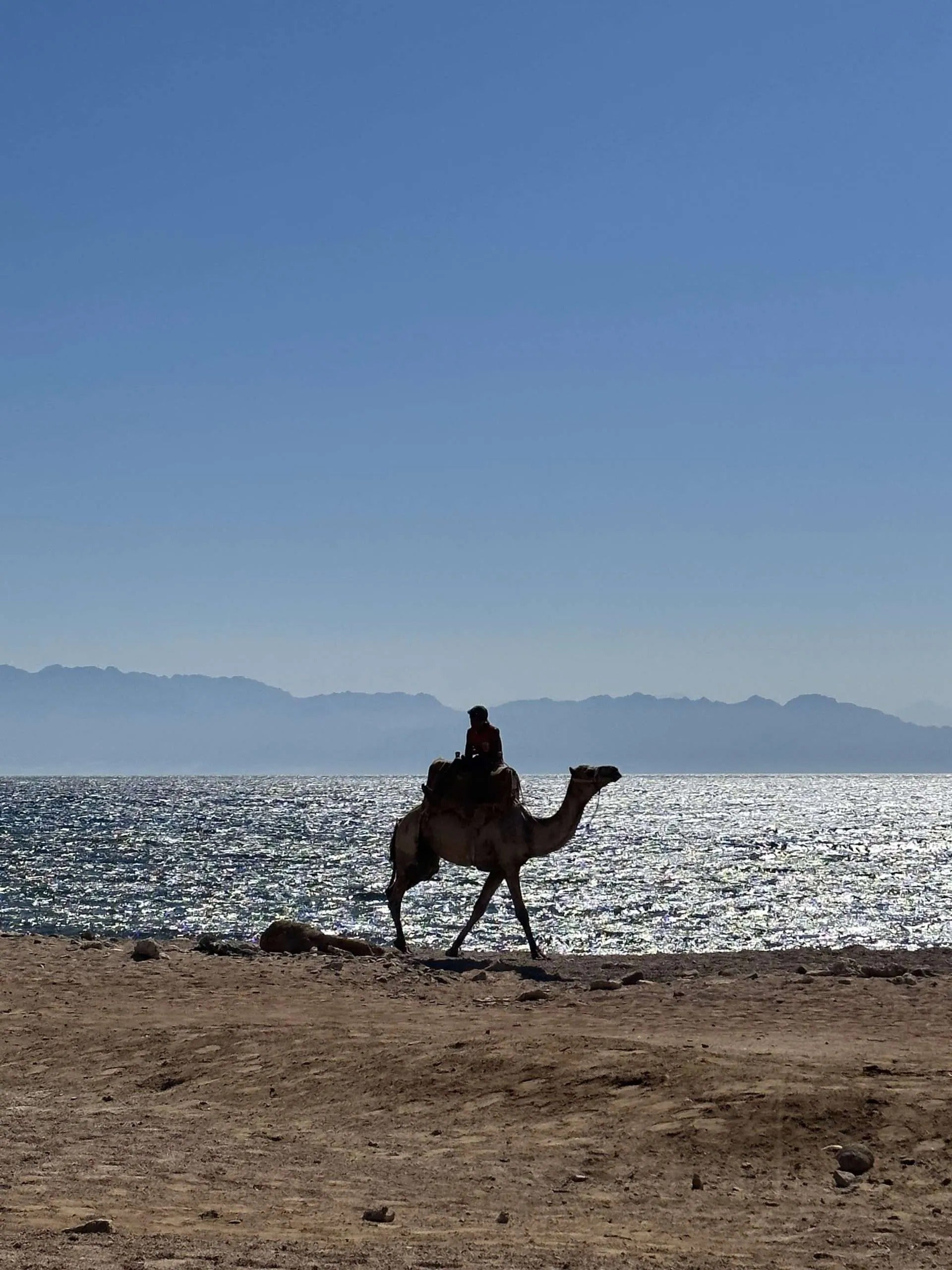 Dahab Freediving Retreat
