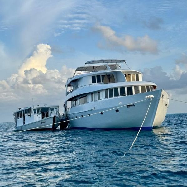 Best of Maldives Channels Scuba Diving Liveaboard