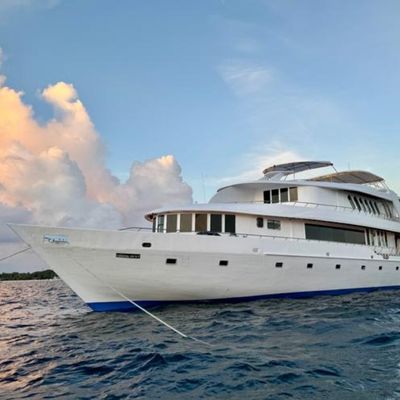 Best of Maldives Channels Scuba Diving Liveaboard