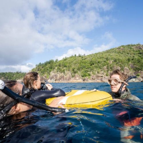 Beginner Freediving Course in Jervis Bay