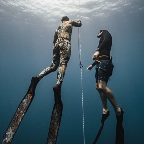 Beginner Freediving Course in Jervis Bay