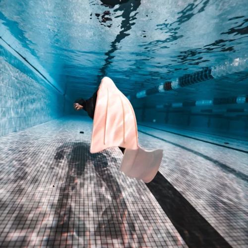 Beginner Freediving Course in Jervis Bay