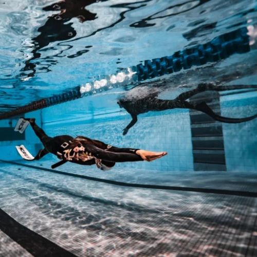 Beginner Freediving Course in Jervis Bay