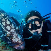 Madeira Island Scuba Diving Trip