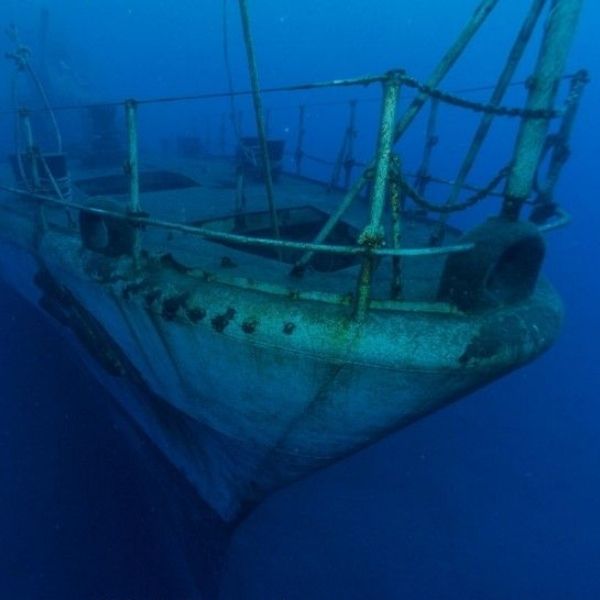 Madeira Island Scuba Diving Trip