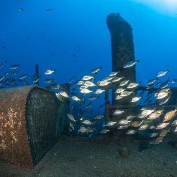 Madeira Island Scuba Diving Trip