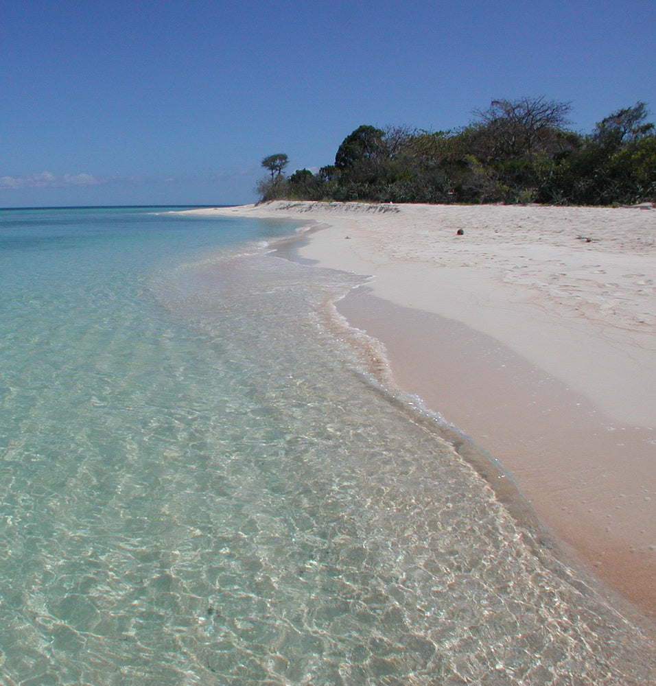 Open Water Beginner Diving Course