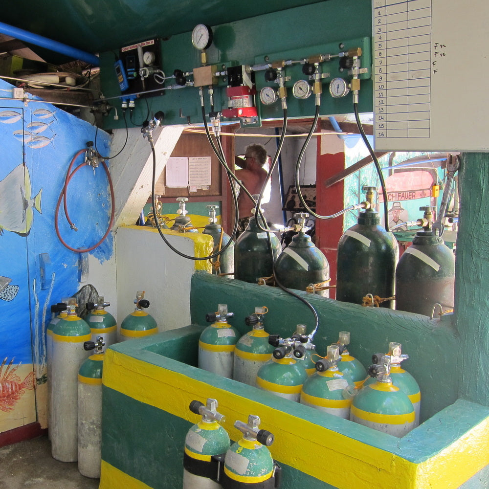 Open Water Beginner Diving Course